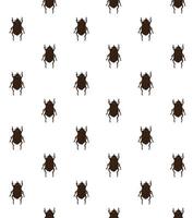 Seamless pattern of sketch bug beetle vector