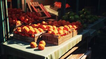 Oranges Arranged on Table video