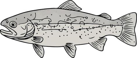 Artwork of trout fish vector