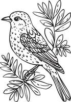 single line drawing-of-a nightingale vector