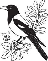 black single-line drawing of a magpie vector