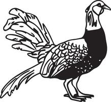 black-single line-drawing-of-a pheasant. vector