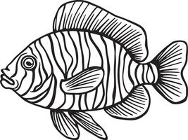 Line Artwork of zebra fish vector