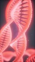 double helical structure of dna strand close-up animation video