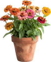 a pot with flowers on a white background png