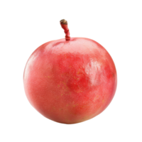 A single whole mango with a refreshing layer of dew drops, presented in a high-quality image against a black background. png