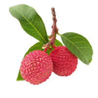 Vivid depiction of fresh lychee fruits with detailed texture and attached green leaves, showcased on a black background. png