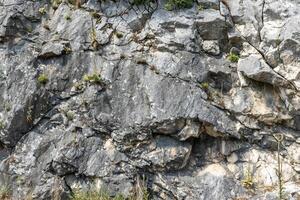 The texture of the rock stone and the plants on it, the background and the image of the texture. photo