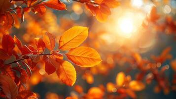 Abstract autumn background with yellow leaves on the branches. Early autumn in the Northern Hemisphere, autumnal equinox photo