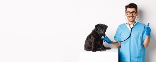 Handsome doctor veterinarian smiling, examining pet in vet clinic, checking pug dog with stethoscope, showing thumbs-up and smiling satisfied, white background photo