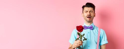 Heartbroken guy in funny bow-tie crying over girlfriend, standing alone with red rose on pink background and sobbing, break-up on Valentines day photo