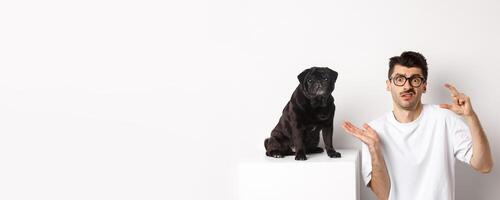 Image of puzzled young man sitting near cute black pug, showing small size and shrugging confused, white background. photo