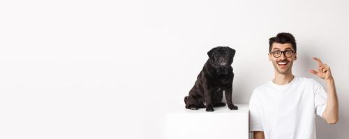 Happy dog owner sitting near cute black pug, smiling and showing small little size, white background photo