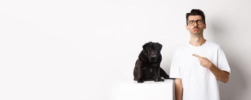 Sad and gloomy pet owner pointing at his black pug dog and sobbing, standing upster against white background photo