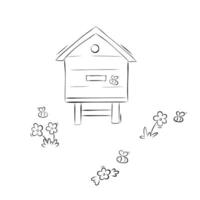 Sketch bee hive and bee house. Simple illustration in doodle style vector