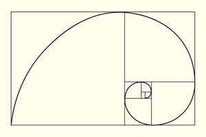 Golden ratio. Fibonacci number, section, divine proportion, spiral. Modern illustration. vector