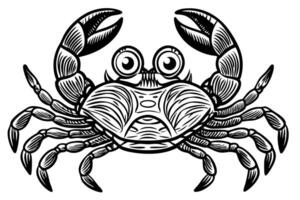 Funny Crab Illustration with White Background Cartoons, Clipart, Line Art Design, Funny crab illustration, perfect for cartoons, clipart, and line art designs with a white background. vector