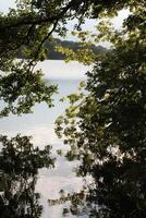 simple nature background photo