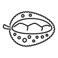 Half open durian spiky exotic fruit showing segments vector