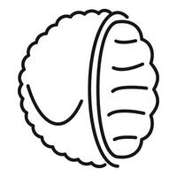 Half open macadamia nut showing texture vector