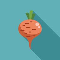 Single beet root vegetable icon showing long shadow vector