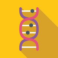Dna double helix structure forming with long shadow on yellow background vector