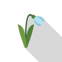 Single snowdrop flower blooming in springtime with long shadow vector
