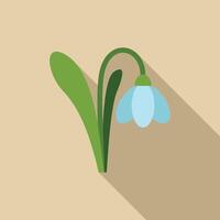 Delicate snowdrop flower blooming in springtime with long shadow vector