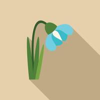 Blue snowdrop flower drooping with long shadow vector