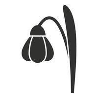 Single snowdrop flower growing with stem and leaf icon vector