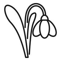 Snowdrop flower growing with stem and leaf icon vector