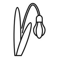 Snowdrop flower growing with stem and leaf line icon vector