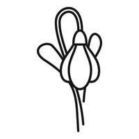 Snowdrop flower growing in spring with line art style vector