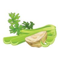 Fresh green celery sticks lying with root and leaves vector