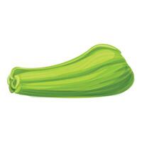 Fresh green celery stalk lying on white background vector