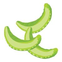 Three slices of green cucumber floating on white background vector
