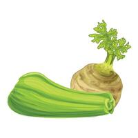 Fresh celery root with stalks lying nearby vector