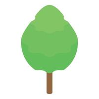 Green tree with round crown is growing from ground isometric icon vector