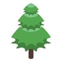 Green fir tree growing in isometric projection vector
