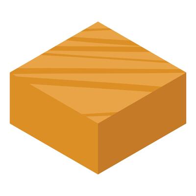 Wooden plank isometric showing growth rings