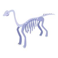Brachiosaurus skeleton standing on two legs from side view vector