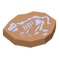 Paleontology skeleton fossil showing prehistoric animal bones vector