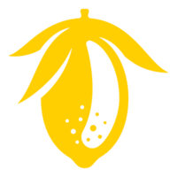 Citrus icon in yellow color hand drawn vintage illustration png