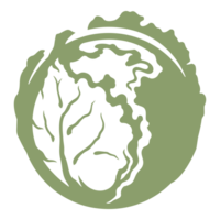 Big cabbage swing icon in green color hand drawn vintage illustration png