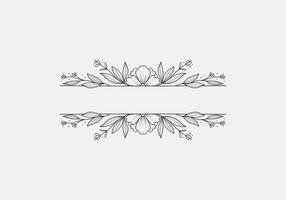 isolated vintage flower header line divider for text frame vector