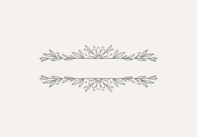 isolated flower line divider border for text frame vector