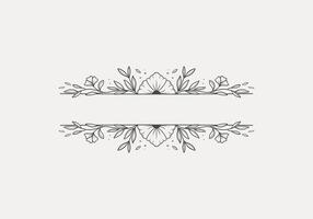 vintage flower header line divider for text frame vector