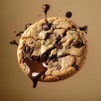 Chocolate Chip Cookie Drizzled With Melted Chocolate photo