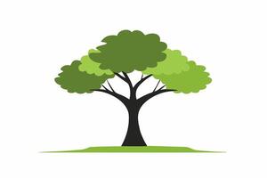 A vibrant illustration of a lush green tree with intricate branches and leaves, perfect for nature-themed designs and Eco-friendly projects. vector