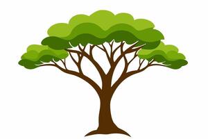 A vibrant illustration of a lush green tree with intricate branches and leaves, perfect for nature-themed designs and Eco-friendly projects. vector
